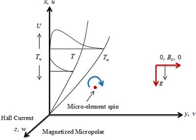 Study of the Couple Stress Convective Micropolar Fluid Flow in a Hall MHD Generator System